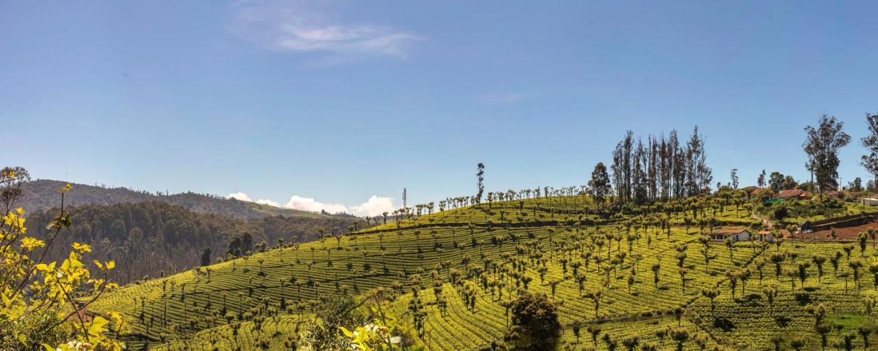 Club Mahindra Derby Green, Ooty Εξωτερικό φωτογραφία